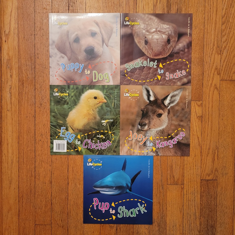 5 QEB LifeCycles Educational Kids Book Set Multicolor Nature Homeschool Learning